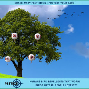 PESTEZE® Large 15" White Bird Scare-Eye Balloon Decoy [1 Pack] Deters Unwanted Pest Birds like Pigeons, Gulls, Geese & Critters from Pools & Yards Without Harming Them To Protect Property