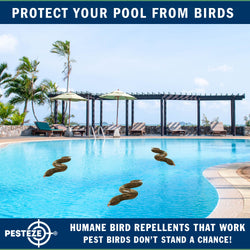 PESTEZE® Brown 39 Inch Realistic Inflatable Snakes [3 Pack] Repels Pest Birds like Woodpeckers, Sparrows, Pigeons, Crows, Gulls & Critters from Pools & Yards without Harming them to Protect Property