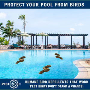 PESTEZE® Brown 39 Inch Realistic Inflatable Snakes [3 Pack] Repels Pest Birds like Woodpeckers, Sparrows, Pigeons, Crows, Gulls & Critters from Pools & Yards without Harming them to Protect Property