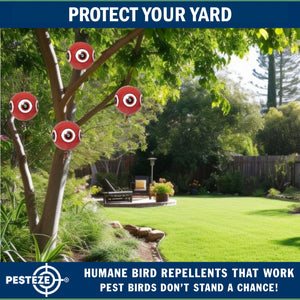 PESTEZE® Large 15" Red Bird Terror-Eye Balloon Deterrent [1 Pack] Scares Unwanted Pest Birds like Pigeons, Gulls, Geese & Critters from Pools & Yards without Harming them to Protect Property