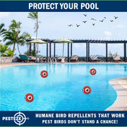 PESTEZE® USA Large 15" Red Bird Predator Balloon Decoy 1 Pack | Inflatable Bird Deterrent for Pools, Docks, Patios & Gardens; Humane Predator–Eye Balloon Keeps Away Pigeons, Woodpeckers, Ducks & Geese