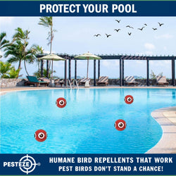 PESTEZE® USA Large 15" Red Bird Predator-Eye Balloon Deterrent [2 Pack Red Color] Predators Unwanted Pest Birds like Pigeons, Gulls, Geese & Critters from Pools & Yards without Harming them to Protect