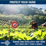 PESTEZE® USA Large 15" Red Bird Predator Balloon Decoy 1 Pack | Inflatable Bird Deterrent for Pools, Docks, Patios & Gardens; Humane Predator–Eye Balloon Keeps Away Pigeons, Woodpeckers, Ducks & Geese