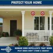 PESTEZE® USA Large 15" Red Bird Predator Balloon Decoy 1 Pack | Inflatable Bird Deterrent for Pools, Docks, Patios & Gardens; Humane Predator–Eye Balloon Keeps Away Pigeons, Woodpeckers, Ducks & Geese