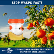 PESTEZE® USA Reusable Solar Hanging Wasp Trap with LED Light [Orange: 3.5 x 4.4 Inch] Attracts, & Kills Wasp, Hornet, Yellow Jacket & Insect Species 24/7 Without Harsh Chemicals Waterproof Outdoor Trap