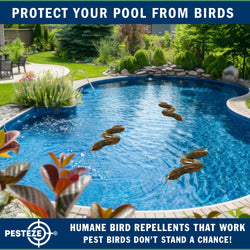 PESTEZE® Brown 39 Inch Realistic Inflatable Snakes [3 Pack] Repels Pest Birds like Woodpeckers, Sparrows, Pigeons, Crows, Gulls & Critters from Pools & Yards without Harming them to Protect Property