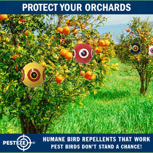 PESTEZE® Large 15" Yellow & Red, Bird Scare-Eye Balloon Repellents [2 Pack Multi-Color] Deters Unwanted Pest Birds like Ducks Pigeons, Gulls, Geese & Critters from Pools & Yards Without Harming Them To Protect Property