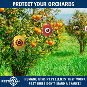 PESTEZE® USA Large 15" Black & White Bird Predator-Eye Balloon Repellents [2 Pack Multi-Color] Deters Unwanted Pest Birds like Ducks Pigeons, Gulls, Geese & Critters from Pools & Yards Without Harming them to Protect Property