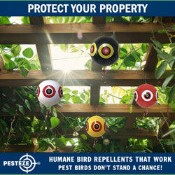 PESTEZE® Large 15" Yellow, Red, White & Black Bird Predator-Eye Balloon Deterrents [4 Pack Multi-Color] Repels Unwanted Pest Birds like Pigeons, Gulls, Geese & Critters from Pools & Yards Without Harming Them To Protect Property