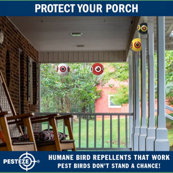 PESTEZE® USA Large 15" Yellow & Red, Bird Predator-Eye Balloon Repellents [2 Pack Multi-Color] Deters Unwanted Pest Birds like Ducks Pigeons, Gulls, Geese & Critters from Pools & Yards Without Harming Them To Protect Property