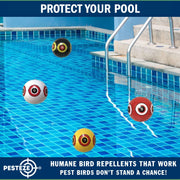 PESTEZE® USA Large 15" Black & White Bird Predator-Eye Balloon Repellents [2 Pack Multi-Color] Deters Unwanted Pest Birds like Ducks Pigeons, Gulls, Geese & Critters from Pools & Yards Without Harming them to Protect Property