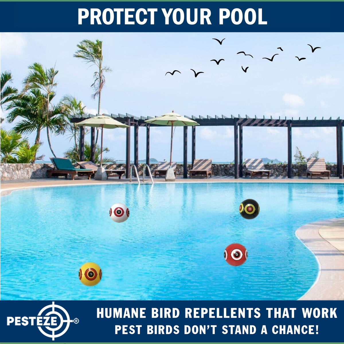 PESTEZE® USA Large 15" Black & White Bird Predator-Eye Balloon Repellents [2 Pack Multi-Color] Deters Unwanted Pest Birds like Ducks Pigeons, Gulls, Geese & Critters from Pools & Yards Without Harming them to Protect Property