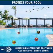 PESTEZE® USA Large 15" Black & White Bird Predator-Eye Balloon Repellents [2 Pack Multi-Color] Deters Unwanted Pest Birds like Ducks Pigeons, Gulls, Geese & Critters from Pools & Yards Without Harming them to Protect Property