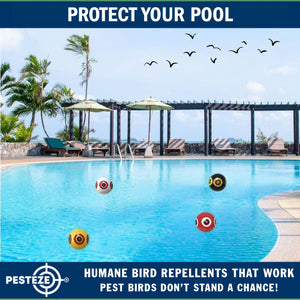 PESTEZE® Large 15" Yellow & Red, Bird Scare-Eye Balloon Repellents [2 Pack Multi-Color] Deters Unwanted Pest Birds like Ducks Pigeons, Gulls, Geese & Critters from Pools & Yards Without Harming Them To Protect Property