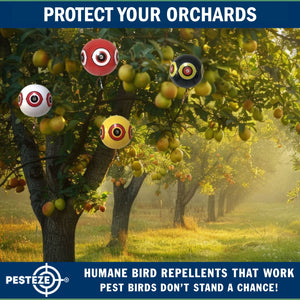 PESTEZE® Large 15" Yellow & Red, Bird Scare-Eye Balloon Repellents [2 Pack Multi-Color] Deters Unwanted Pest Birds like Ducks Pigeons, Gulls, Geese & Critters from Pools & Yards Without Harming Them To Protect Property