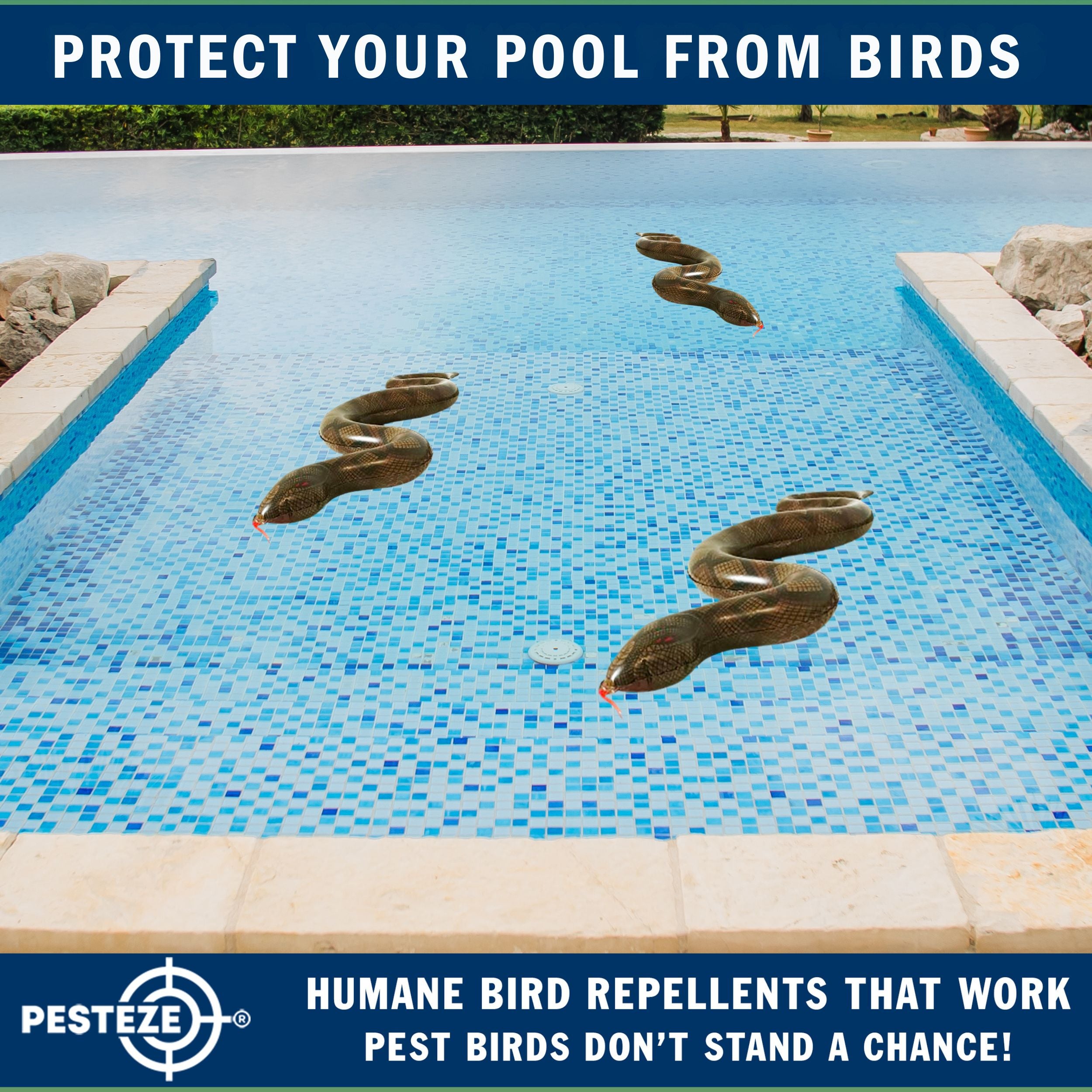 PESTEZE® Brown 39 Inch Realistic Inflatable Snakes [3 Pack] Repels Pest Birds like Woodpeckers, Sparrows, Pigeons, Crows, Gulls & Critters from Pools & Yards without Harming them to Protect Property