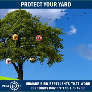 PESTEZE® Large 15" Yellow, Red, White & Black Bird Scare-Eye Balloon Deterrents [4 Pack Multi-Color] Repels Unwanted Pest Birds like Pigeons, Gulls, Geese & Critters from Pools & Yards Without Harming Them To Protect Property