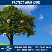 PESTEZE® USA Large 15" Black & White Bird Predator-Eye Balloon Repellents [2 Pack Multi-Color] Deters Unwanted Pest Birds like Ducks Pigeons, Gulls, Geese & Critters from Pools & Yards Without Harming them to Protect Property