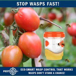 2 Pack PESTEZE® Reusable Solar Hanging Wasp Trap with LED Light [Orange: 3.5 X 4.4 Inch] Attracts, Catches & Kills Wasp, Hornet, Yellow Jacket & Insect Species 24/7 without Harsh Chemicals. Waterproof
