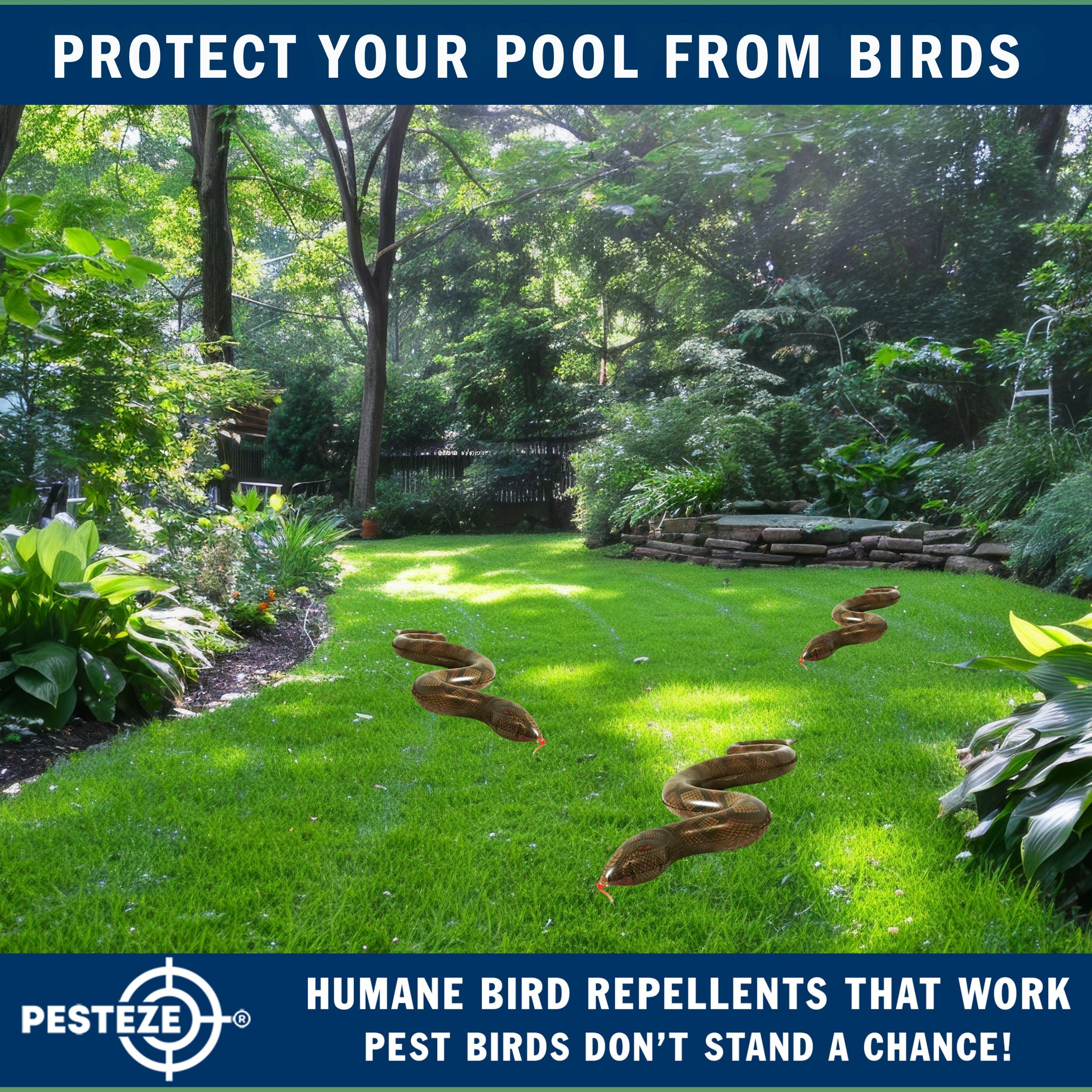 PESTEZE® Brown 39 Inch Realistic Inflatable Snakes [3 Pack] Repels Pest Birds like Woodpeckers, Sparrows, Pigeons, Crows, Gulls & Critters from Pools & Yards without Harming them to Protect Property