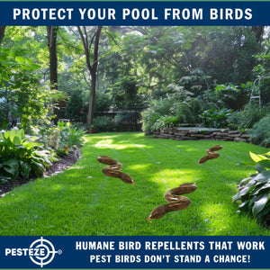 PESTEZE® Brown 39 Inch Realistic Inflatable Snakes [3 Pack] Repels Pest Birds like Woodpeckers, Sparrows, Pigeons, Crows, Gulls & Critters from Pools & Yards without Harming them to Protect Property