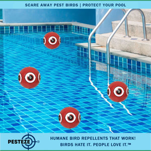 PESTEZE® Large 15" Red Bird Terror-Eye Balloon Deterrent [1 Pack] Scares Unwanted Pest Birds like Pigeons, Gulls, Geese & Critters from Pools & Yards without Harming them to Protect Property