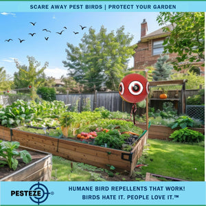 PESTEZE® Large 15" Red Bird Terror-Eye Balloon Deterrent [1 Pack] Scares Unwanted Pest Birds like Pigeons, Gulls, Geese & Critters from Pools & Yards without Harming them to Protect Property