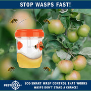PESTEZE® USA Reusable Solar Hanging Wasp Trap with LED Light [Orange: 3.5 x 4.4 Inch] Attracts, & Kills Wasp, Hornet, Yellow Jacket & Insect Species 24/7 Without Harsh Chemicals Waterproof Outdoor Trap