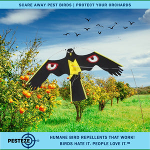 PESTEZE® Black Flying Hawk 46 x 26 Inch Kite with Scare Eyes & 13 ft Flagpole to Deter Birds. Use in Yards & Farms to Protect Vegetables, Fruits, Crops & Property from Pest Birds & Critters without Harming them