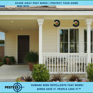 PESTEZE® Large 15" Black Bird Scare-Eye Balloon Decoy [1 Pack]  Deters Unwanted Pest Birds like Pigeons, Gulls, Geese & Critters from Pools & Yards Without Harming Them To Protect Property