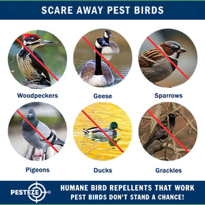 4 Pack PESTEZE® Shiny Holographic Owl Bird Repellent with Bell & Swivel [6 x 13.5 inch] Reflection Scares Pest Birds like Woodpeckers, Sparrows, Pigeons, Crows & Gulls without Harming them to Protect Property