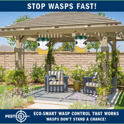 2 Pack PESTEZE® Reusable Solar Hanging Wasp Trap with LED Light [Green: 3.5 X 4.4 Inch] Attracts, Catches & Kills Wasp, Hornet, Yellow Jacket & Insect Species 24/7 without Harsh Chemicals. Waterproof