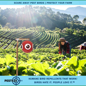 PESTEZE® Large 15" Red Bird Terror-Eye Balloon Deterrent [1 Pack] Scares Unwanted Pest Birds like Pigeons, Gulls, Geese & Critters from Pools & Yards without Harming them to Protect Property