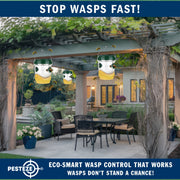 PESTEZE® USA Reusable Solar Hanging Wasp Trap with LED Light [Green: 3.5 x 4.4 Inch] Attracts, & Kills Wasp, Hornet, Yellow Jacket & Insect Species 24/7 Without Harsh Chemicals– Waterproof Outdoor Trap