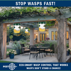2 Pack PESTEZE® Reusable Solar Hanging Wasp Trap with LED Light [Green: 3.5 X 4.4 Inch] Attracts, Catches & Kills Wasp, Hornet, Yellow Jacket & Insect Species 24/7 without Harsh Chemicals. Waterproof