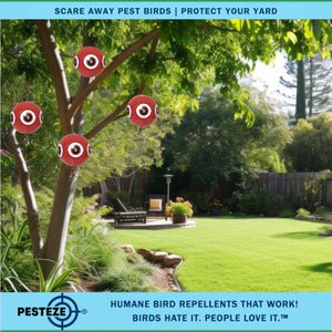 PESTEZE® Large 15" Red Bird Terror-Eye Balloon Deterrent [1 Pack] Scares Unwanted Pest Birds like Pigeons, Gulls, Geese & Critters from Pools & Yards without Harming them to Protect Property