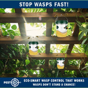 PESTEZE® USA Reusable Solar Hanging Wasp Trap with LED Light [Green: 3.5 x 4.4 Inch] Attracts, & Kills Wasp, Hornet, Yellow Jacket & Insect Species 24/7 Without Harsh Chemicals– Waterproof Outdoor Trap