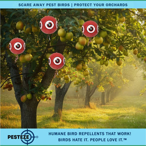 PESTEZE® Large 15" Red Bird Terror-Eye Balloon Deterrent [1 Pack] Scares Unwanted Pest Birds like Pigeons, Gulls, Geese & Critters from Pools & Yards without Harming them to Protect Property