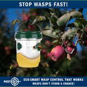 PESTEZE® USA Reusable Solar Hanging Wasp Trap with LED Light [Green: 3.5 x 4.4 Inch] Attracts, & Kills Wasp, Hornet, Yellow Jacket & Insect Species 24/7 Without Harsh Chemicals– Waterproof Outdoor Trap