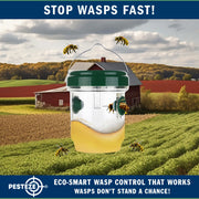 PESTEZE® USA Reusable Solar Hanging Wasp Trap with LED Light [Green: 3.5 x 4.4 Inch] Attracts, & Kills Wasp, Hornet, Yellow Jacket & Insect Species 24/7 Without Harsh Chemicals– Waterproof Outdoor Trap