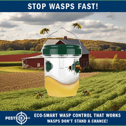 2 Pack PESTEZE® Reusable Solar Hanging Wasp Trap with LED Light [Green: 3.5 X 4.4 Inch] Attracts, Catches & Kills Wasp, Hornet, Yellow Jacket & Insect Species 24/7 without Harsh Chemicals. Waterproof