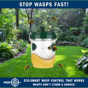 2 Pack PESTEZE® Reusable Solar Hanging Wasp Trap with LED Light [Green: 3.5 X 4.4 Inch] Attracts, Catches & Kills Wasp, Hornet, Yellow Jacket & Insect Species 24/7 without Harsh Chemicals. Waterproof