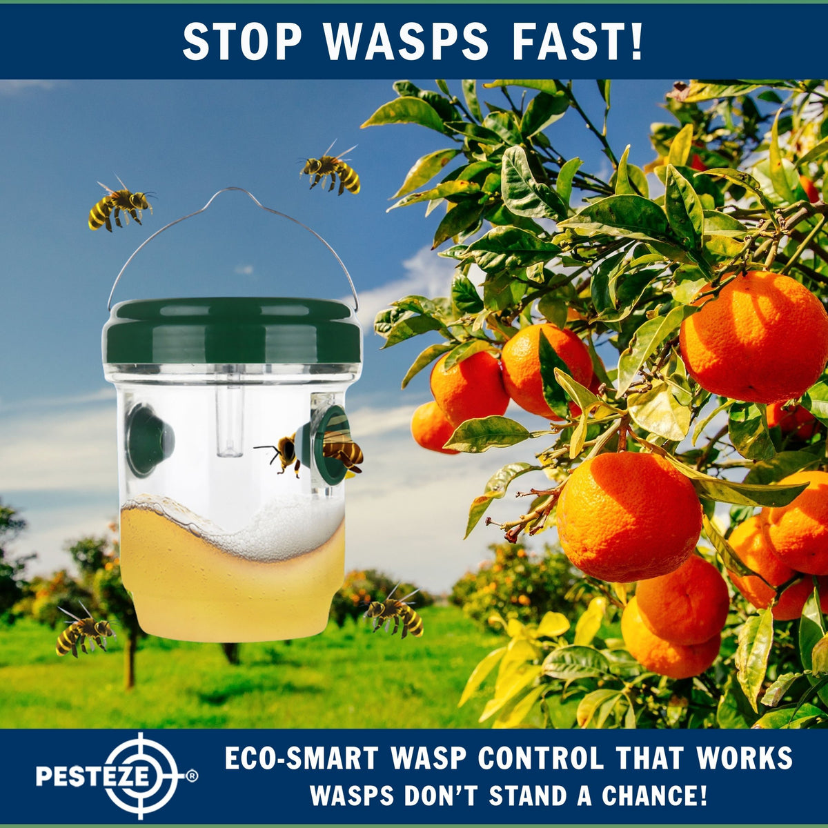 PESTEZE® USA Reusable Solar Hanging Wasp Trap with LED Light [Green: 3.5 x 4.4 Inch] Attracts, & Kills Wasp, Hornet, Yellow Jacket & Insect Species 24/7 Without Harsh Chemicals– Waterproof Outdoor Trap