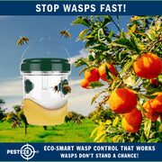 PESTEZE® USA Reusable Solar Hanging Wasp Trap with LED Light [Green: 3.5 x 4.4 Inch] Attracts, & Kills Wasp, Hornet, Yellow Jacket & Insect Species 24/7 Without Harsh Chemicals– Waterproof Outdoor Trap