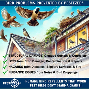 3 Pack PESTEZE® Set of 3 Holographic Shiny Circles with Bell [3 x 15 inch] Reflection Scares Pest Birds like Woodpeckers, Sparrows, Pigeons, Crows & Gulls without Harming them to Protect Property