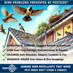 PESTEZE® USA Large 15" Yellow Bird Predator-Eye Balloon Decoy [2 Pack Yellow Color] Deters Unwanted Pest Birds like Pigeons, Gulls, Geese & Critters from Pools & Yards Without Harming Them To Protect