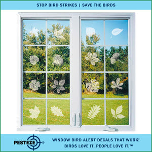 PESTEZE® UV Reflective Leaf Medley Anti Strike Static Cling Decals for Windows to Prevent Wild Bird Collisions [26 Decals/4 Pages] Bird Alert Window Decals Save Birds from Window Strikes & Help them Soar