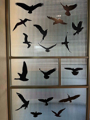 PESTEZE® Black Hummingbirds Anti Strike Static Cling Decals for Windows to Prevent Wild Bird Collisions [37 Decals/9 Pages] Bird Alert Window Decals Save Birds from Window Strikes & Help them Soar