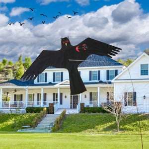 PESTEZE® Black Flying Hawk 46 x 26 Inch Kite Bird Deterrent with 13 ft Flagpole. Use in Yards & Farms to Protect Vegetables, Fruits, Crops & Property from Pest Birds & Critters without Harming them