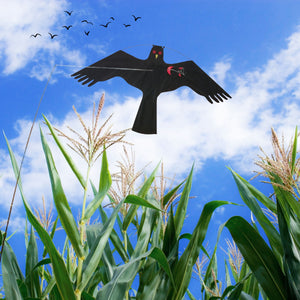 PESTEZE® Black Flying Hawk 46 x 26 Inch Kite Bird Deterrent with 13 ft Flagpole. Use in Yards & Farms to Protect Vegetables, Fruits, Crops & Property from Pest Birds & Critters without Harming them